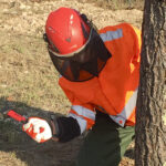 Work Secure Guanti antitaglio per Motosega Classe 1