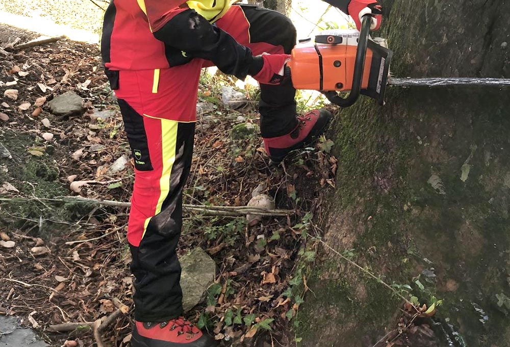 La guida completa all'abbigliamento antitaglio per motoseghe